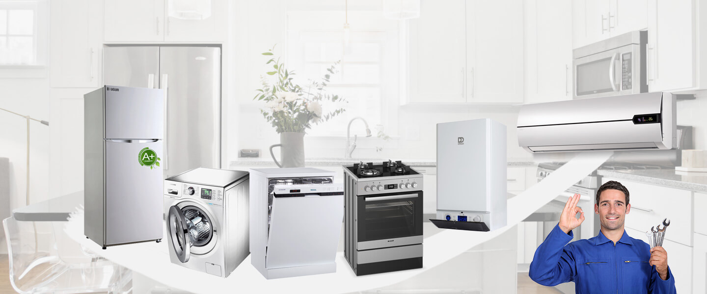 Karayazı Electrolux Servisi